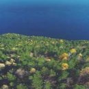 가로수약국 이미지