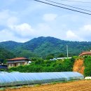 봉화산코스 이미지