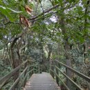 수산리-16 이미지