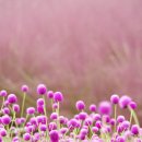 지리산마천흑돼지촌 음식특화거리 이미지