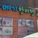 메기 한마당 이미지