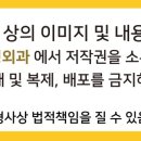 바른성모정형외과의원 이미지