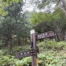 민둥산한우촌 | 정선 데이트 - 저질체력이 가본 민둥산 후기⛰️