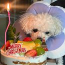 24시빨래터 | 오늘 밤, 세계에서 이 사랑이 사라진다고 해도 후기••• | 크리스마스에 영화란 ❤️‍🔥