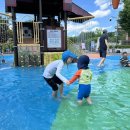 일산동 일산소공원 이미지