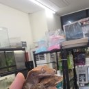 몬스타주 이미지