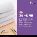 레푸스 다산