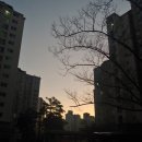 참다운치과의원 네이버블로그