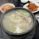 다음매일투어/산악회