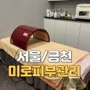 홈플러스스페셜 앞 | 독산동피부관리 추천｜손맛 끝내주는 미로피부관리 스노우테라피 후기