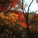 [제5차 산행]11/5(토) 삼각산 의상봉 능선과 단풍길 산행 공지 이미지