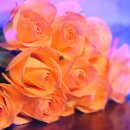 TV를 고쳤어요... 이미지