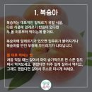 돌전에 먹이면 안되는 음식 이미지