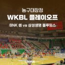 금메달 체육관 | BNK 썸 vs 삼성생명 블루밍스 2024-25 WKBL 여자농구 플레이오프 5차전 부산사직실내체육관 직관 후기