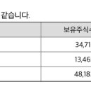 주식회사 조이홀딩스