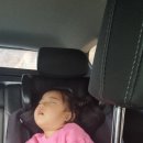 연꽃자리캠핑타운 이미지