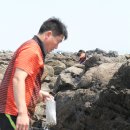 장수골농장 Daum카페