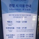 제주참숯가마찜질방 | 제주 성산 아이랑 아쿠아플라넷제주 제주참숯가마 찜질방 3세 8세 후기