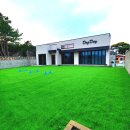데이도그 | 태안 안면도 애완견 동반 풀빌라 펜션 도그데이펜션 리얼 후기