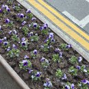 전민동주민센터(건너편) 이미지