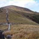 은빛파도 이미지