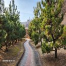 창공약국 이미지