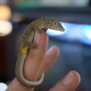 준호농장 이미지