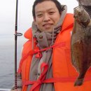 관광 꿈꾸는숲 펜션 이미지