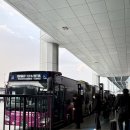 무지개할인마트 | 후쿠오카 커플여행 가성비 숙소 추천｜텐진역 근처 니시테츠인 호텔 2박 후기