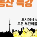 내집마련아카데미 이미지