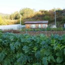 무주반디농장 이미지