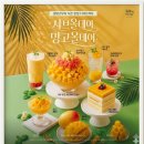 샤브올데이 망고시즌 다녀온 후기! 무지개 생망고의 계절 솔직리뷰