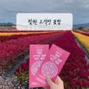 동송읍사무소 | 고석정 가을 꽃축제 강원도여행 고석정꽃밭 자연명소