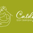 그레이캣독