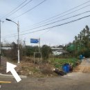 궁평2리.해운초등학교 네이버블로그