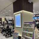 (3/23) 손 끝으로 느끼는 이음(라탄공예) | 베이비하우스 유모차 추천 오토폴딩 가능한 미마미로 휴대용유모차