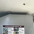 화정만두 | 고양 화정 만두맛집 해성만두 내돈내산 후기