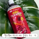 30대 직장인 급찐급빠 헬스헬퍼 맥스컷 ABC 클렌즈주스 48시간 디톡스 내돈내산 후기
