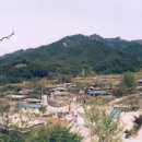 노상마을 Daum카페