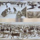 화지3리 이미지