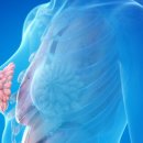 암(cancer)에 대한 모든것 이미지