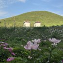 내몽골 울란부통 초원을 보러가다.(12)....궁궈얼(貢格尔) 초원과 달달선(達達線) 도로를 지나 울란부통으로 가다. 이미지