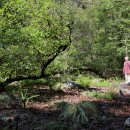 출발~ 그림책 여행 이미지