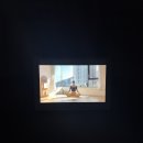 크로스핏 바이브온 | 멈췄던 시간이 다시 흐르기 시작했다,,겨울 아니,, 봄.. 아니 초여름,,그,,아니, 언제야 지금,, 아무튼...