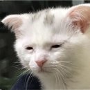 비코(BIKO) 이미지