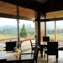 대호단양CC(대중제) 이미지