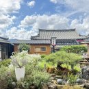 락희원 | 경주 '락희원' 황리단길 첨성대 근처 깔끔한 숙소 추천