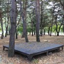 진부(오대산)관광농원 이미지