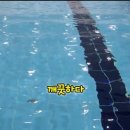 ATS스포츠센터-판다수영아카데미 검단점 | [검단어린이수영장] ATS스포츠센터 판다수영아카데미 입니다