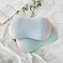 아네시스 이미지